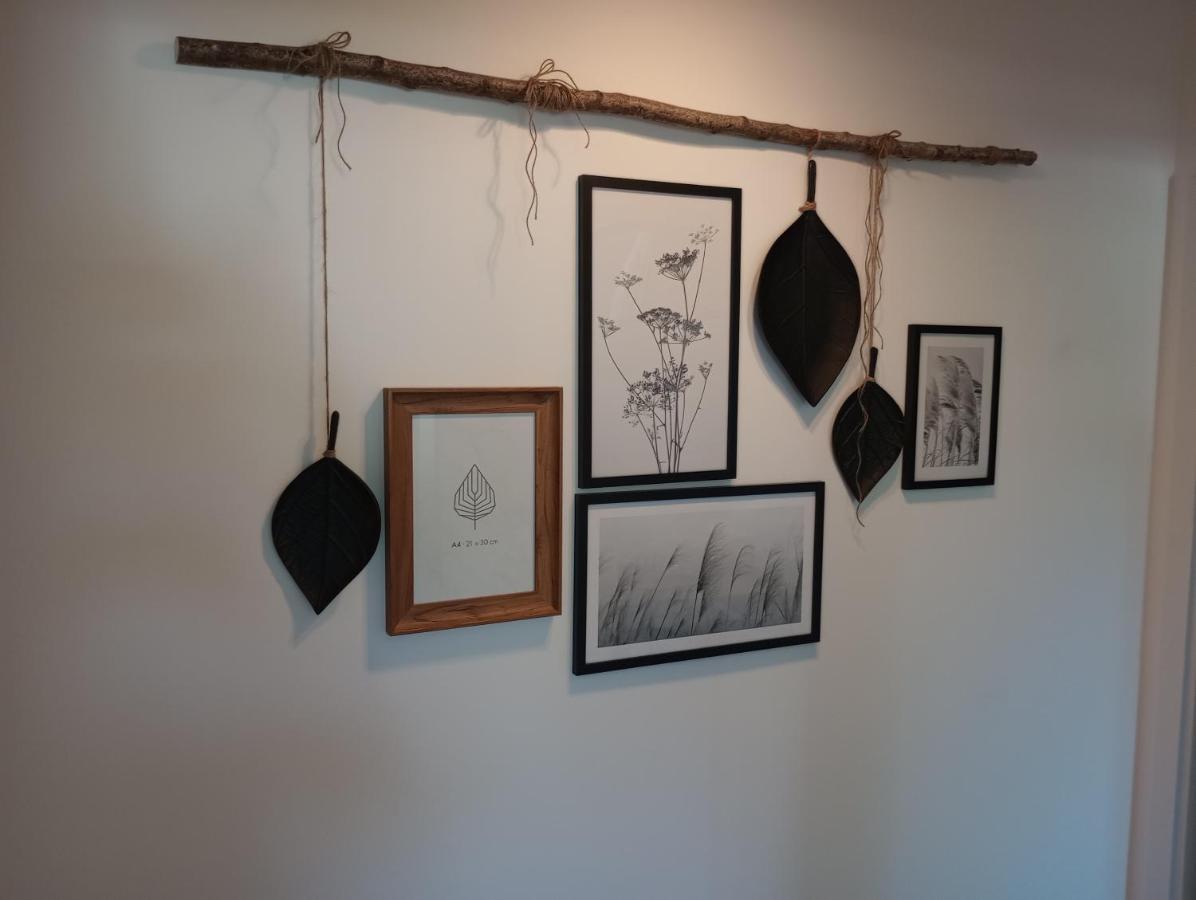 Provizial Ferienwohnung Rudi 바드가센 외부 사진
